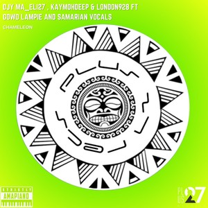 Chameleon (Extended Version)