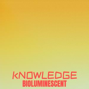 Knowledge Bioluminescent