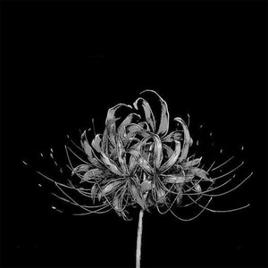 Все Эти Cyки (Explicit)