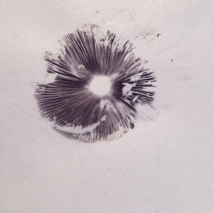 Spores, Pt. 2: The Circle