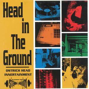 Head in the Ground (Explicit)