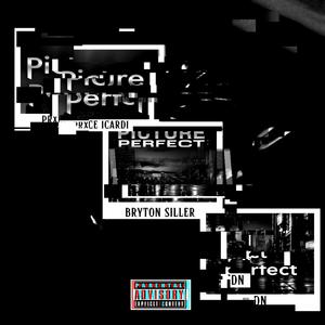 PICTURE PERFECT (feat. Jvstbryton & DN) (Explicit)