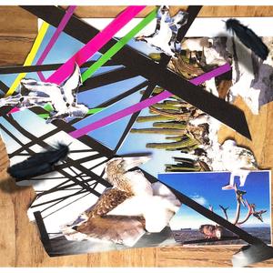 Birds on a Wire (Explicit)