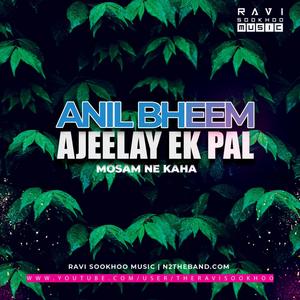 Ajeelay Ek Pal (feat. Anil Bheem)