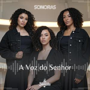 A Voz do Senhor (Salmo 29) (feat. Sonoras)