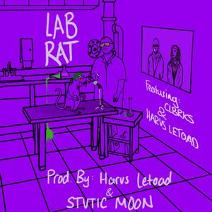 White Rabbit (feat. CLBRKS) (Explicit)