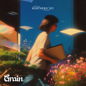 Northern Sky