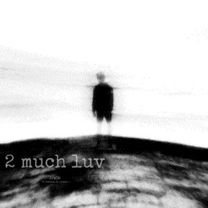 2 much love (Explicit)