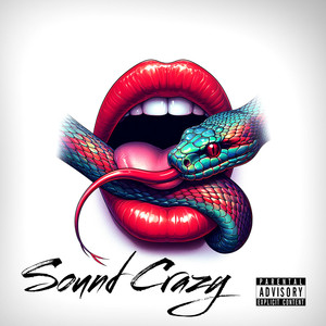 Sound Crazy (Explicit)