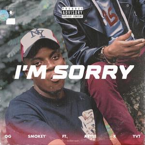 I'm Sorry (feat. Artse)