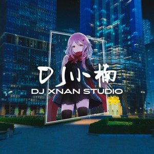 少一点天分 (DJ小楠 remix)