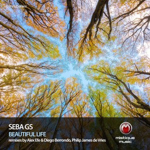 Beautiful Life (Original Mix)