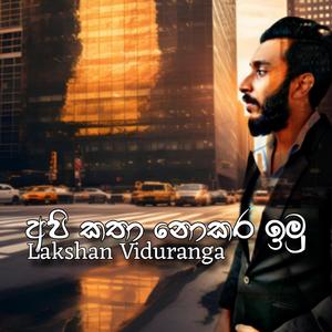 Api Katha Nokara Imu - අපි කතා නොකර ඉමු (feat. Lakshan Viduranga) (Explicit)