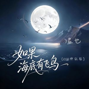 如果海底有飞鸟 (R&B律动版)