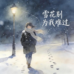 雪花别为我难过（雪花雪花你别笑我）-falling.