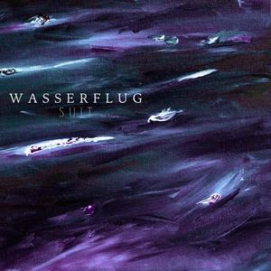 Wasserflug