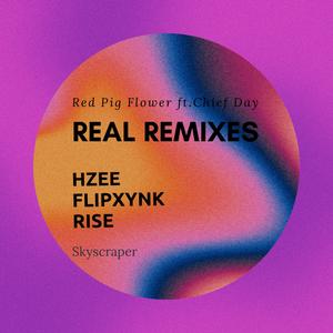 REAL (feat.Chief Day) (HZEE Remix)