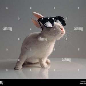 spin (feat. sadboyshaq) (Explicit)