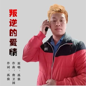 叛逆的爱情 (DJ版)