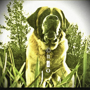 cujo (Explicit)