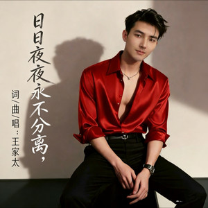 日日夜夜永不分离 (伴奏)