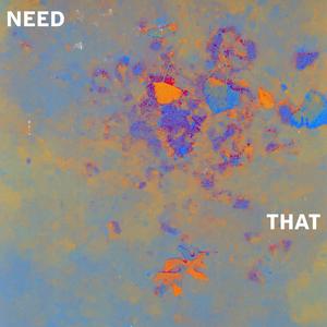 Need That (feat. Jake & Hiram Diez) [Explicit]