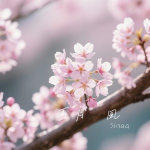 Sinua - 五月の風