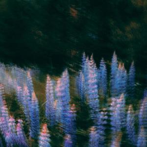 Simple as They Seemed