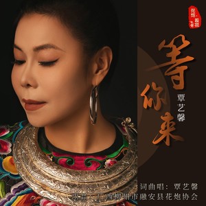 等你来 (伴奏)
