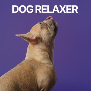 Dog Relaxer