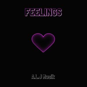 A.L.J Musik - Feelings