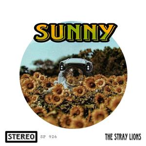 Sunny