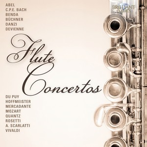 Concerto in D Major, C17/III:16 - II. Adagio