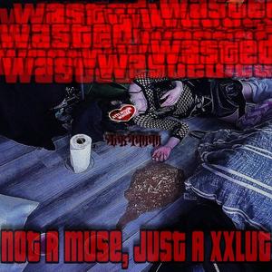 NOT A MUSE, JUST A XXLUT (Explicit)