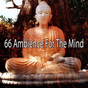 66 Ambience for the Mind