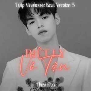 Biệt Ly Vô Tận (Vinahouse Beat Version 5)