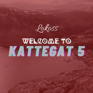 Welcome to kattegat 5