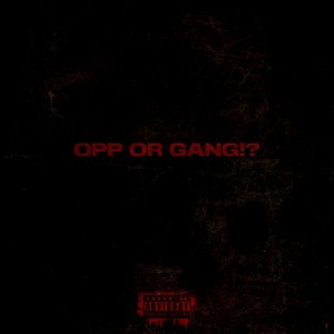 Opp or Gang!? (Explicit)