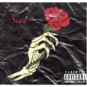 If You Don't Love Me (Explicit)