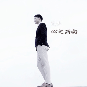 心之所向