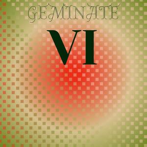 Geminate Vi