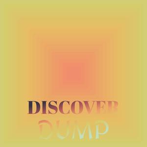 Discover Dump
