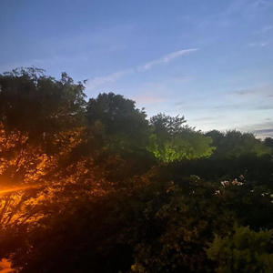 Drool (feat. jaize & Duulic) (Explicit)