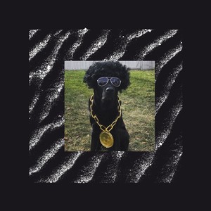 Safadeza Carnaval (Explicit)