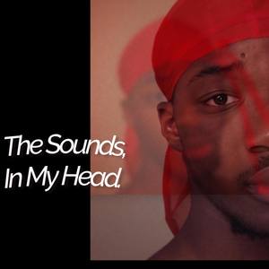 THE SOUNDS IN MY HEAD (Explicit)