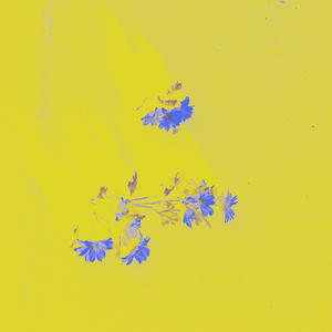 StressedOut