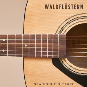 Waldflüstern: Instrumentale Gitarre