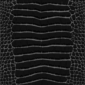 Ball (CoinbaseBaby) (Explicit)