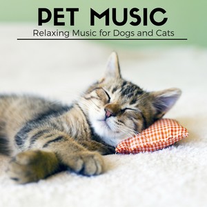 Pet Music - Relaxing Music for Dogs and Cats, Quiet Instrumental Songs for Separation Anxiety and Sleep Problems