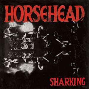 Sharking (Live)